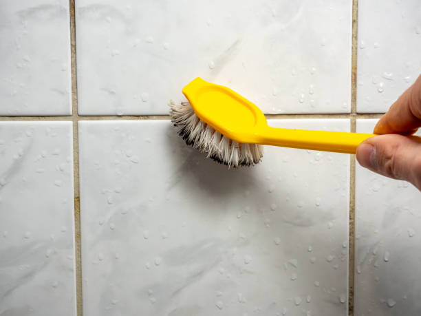 Best Fast Mold Removal  in Wolcottville, IN