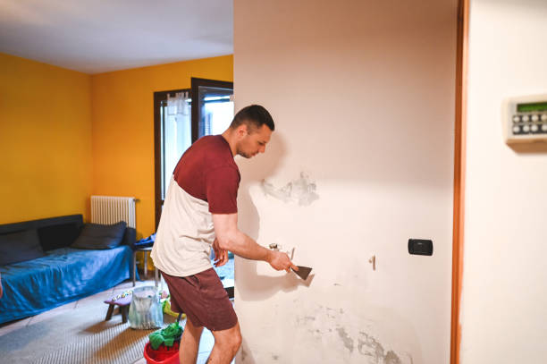 Professional Mold Removal in Wolcottville, IN